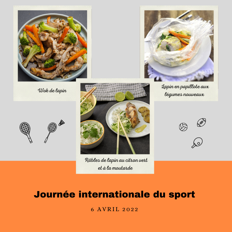 Journee Internationale Du Sport Lapin Et Papilles
